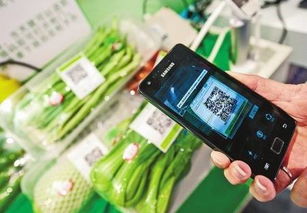 食品信息追溯系統(tǒng) 構建透明供應鏈，賦能消費選擇