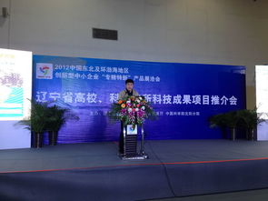 2012中國東北及環(huán)渤海地區(qū)中小企業(yè)專精特新產(chǎn)品技術展覽洽談會市場營銷策劃