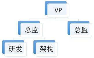 五維協同 研發、產品、架構、業務與項目管理下的多元組織架構建設與市場營銷策略融合